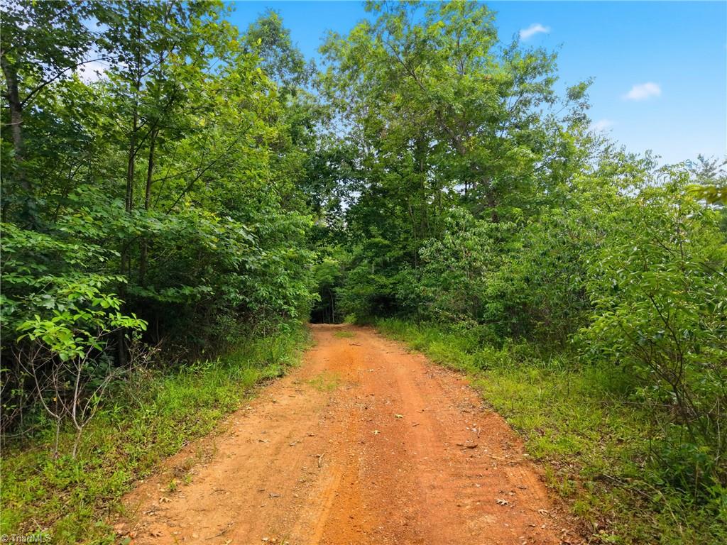 Tbd Harris Road Wilkesboro, NC 28697 - Photo 6 of 25