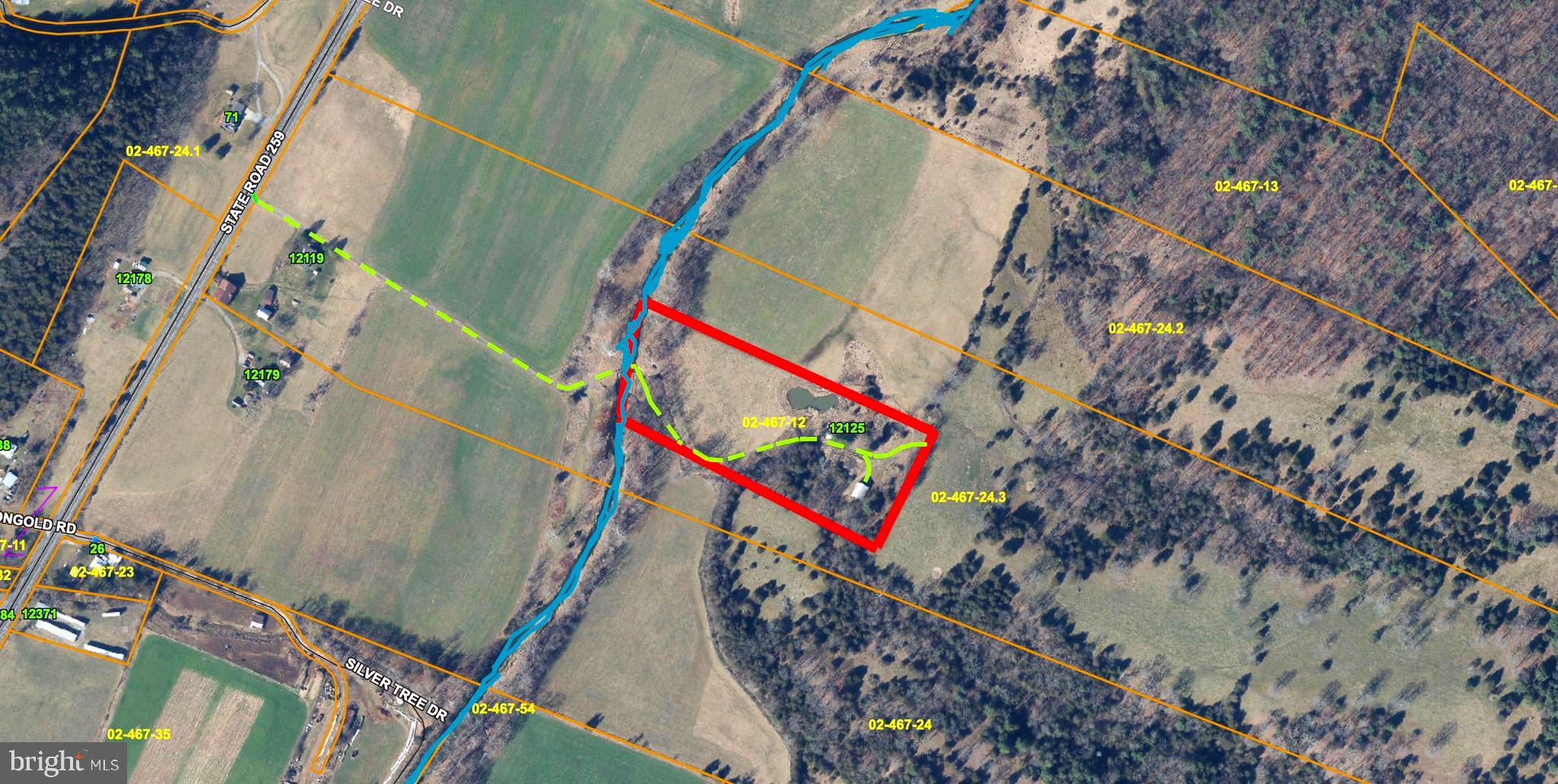 12125 State Road 259 Mathias, WV 26812 - Photo 4 of 40