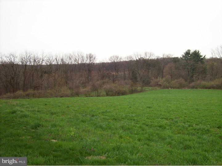 290 Gouglersville Road Reading, PA 19608 - Photo 12 of 18