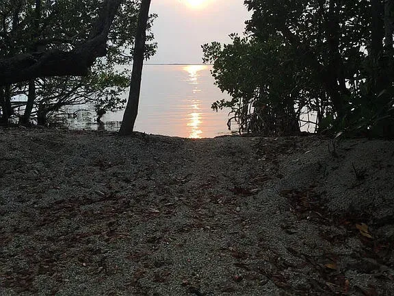 a view of lake and trees