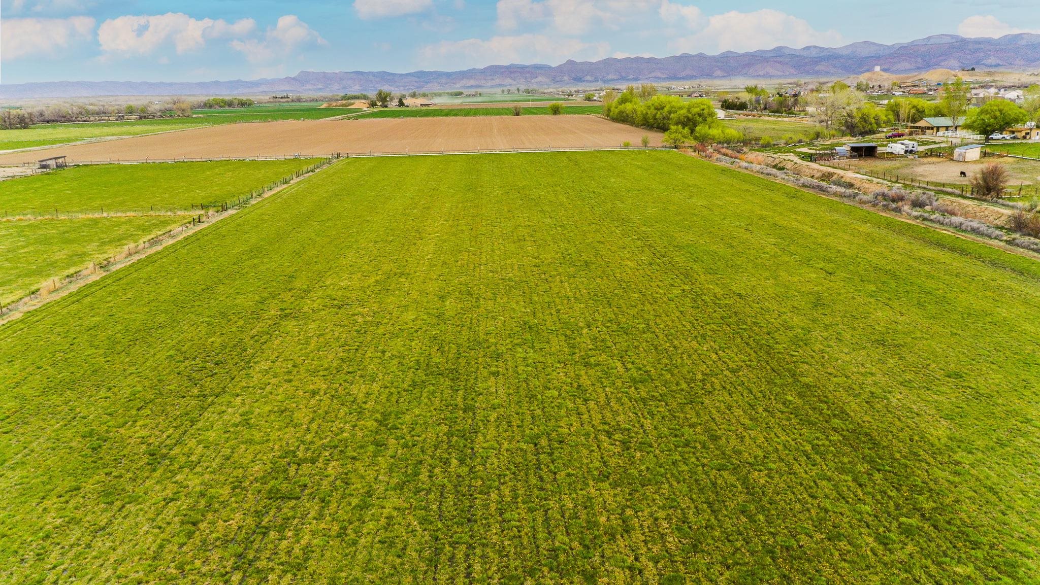 1786 North 3/10 Road Fruita, CO 81521 - Photo 5 of 11 a view of an ocean and a mountain