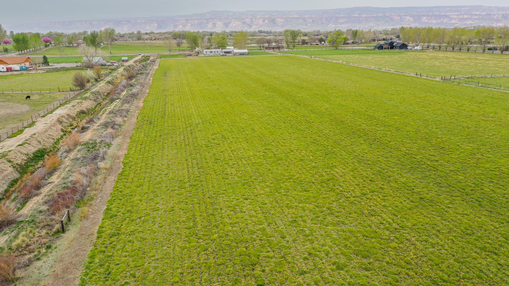 1786 North 3/10 Road Fruita, CO 81521 - Photo 9 of 11 a view of an ocean view