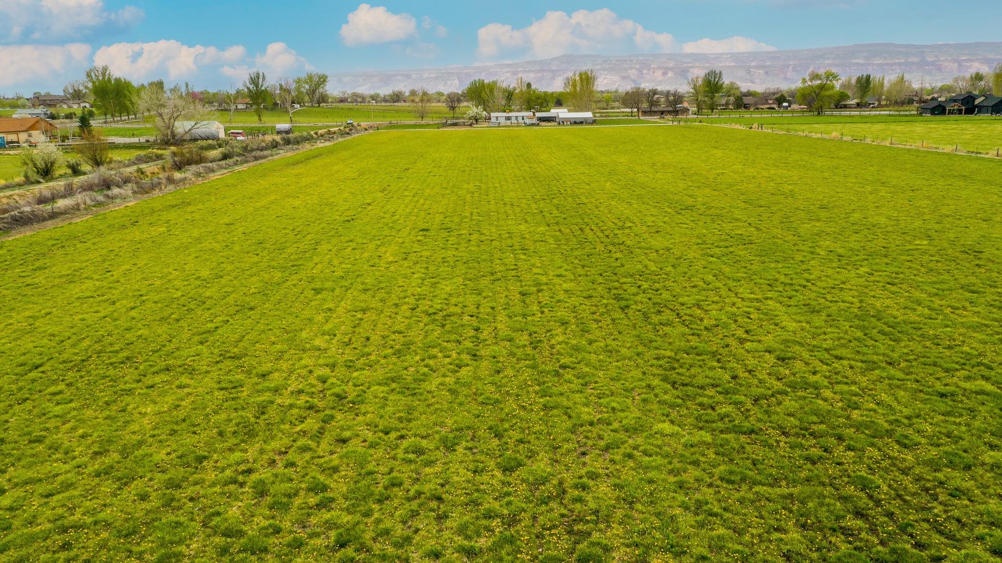 1786 North 3/10 Road Fruita, CO 81521 - Photo 10 of 11 a view of an ocean from a city