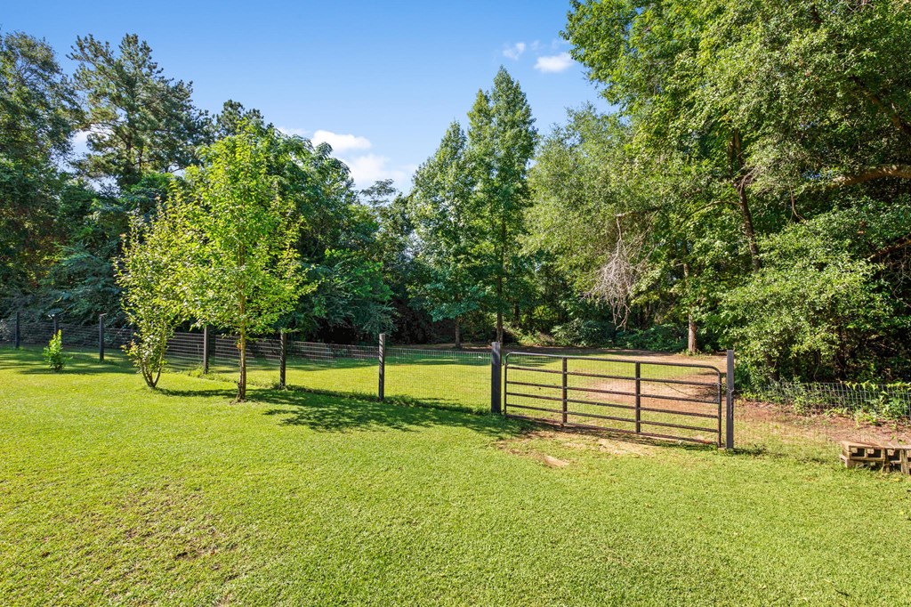 334 Corbin Road Newton, AL 36352 - Photo 9 of 46