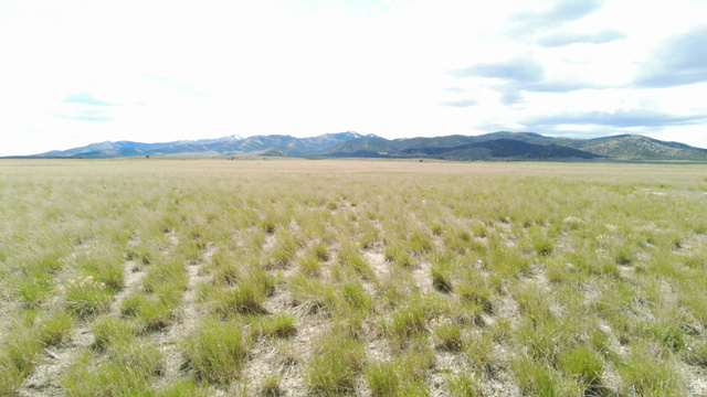 North Clear Spgs Road Park Valley, UT 84329 - Photo 3 of 15 View of mountain background with rural landscape