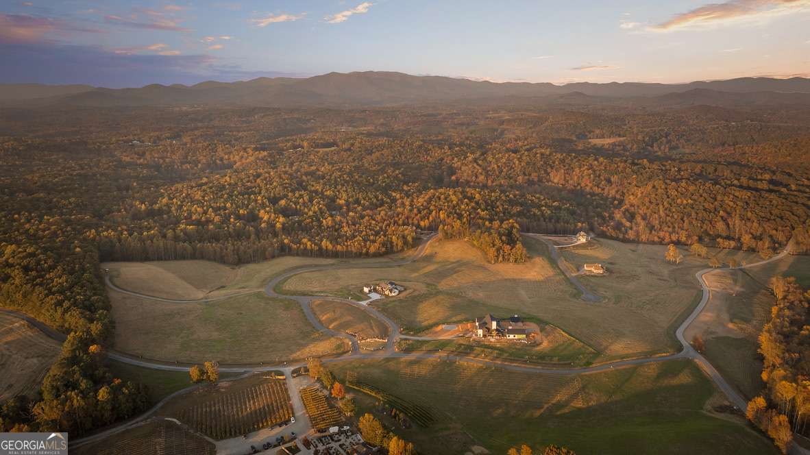 Lot 5 Bravo Way Talking Rock, GA 30175 - Photo 20 of 21