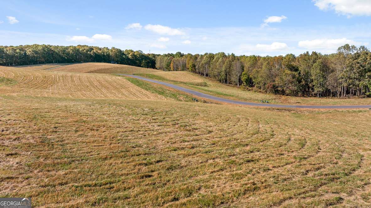 Lot 5 Bravo Way Talking Rock, GA 30175 - Photo 6 of 21