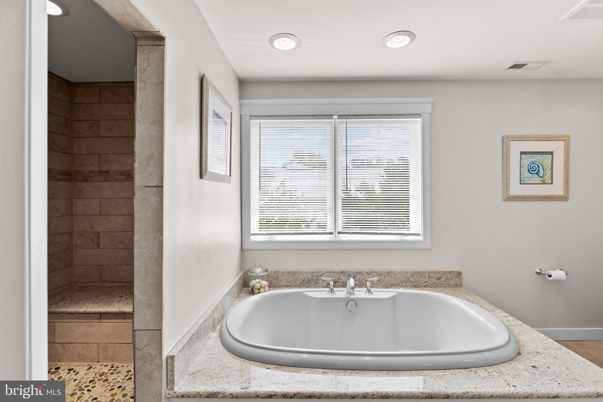 3733 Thomas Point Road Annapolis, MD 21403 - Photo 33 of 46 Relax in the tub