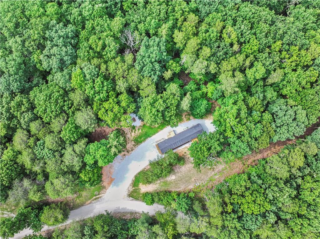 1458 Grant Mill Road Alto, GA 30510 - Photo 2 of 32 a view of a garden with plants