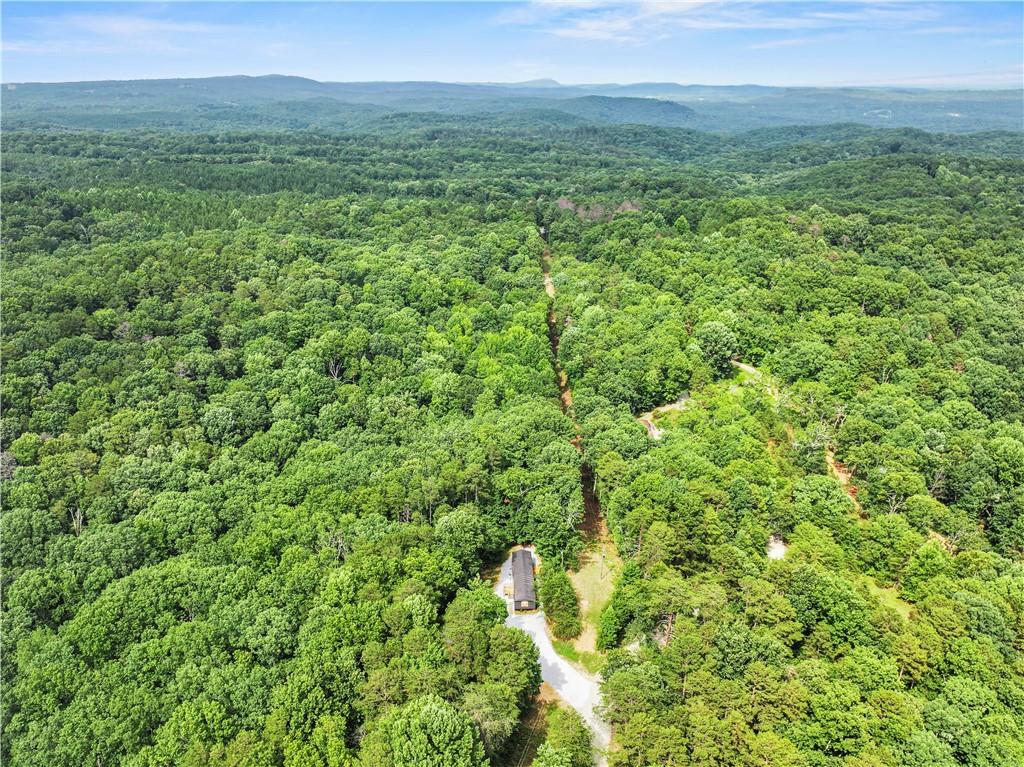 1458 Grant Mill Road Alto, GA 30510 - Photo 3 of 32 a view of a green field with lots of bushes