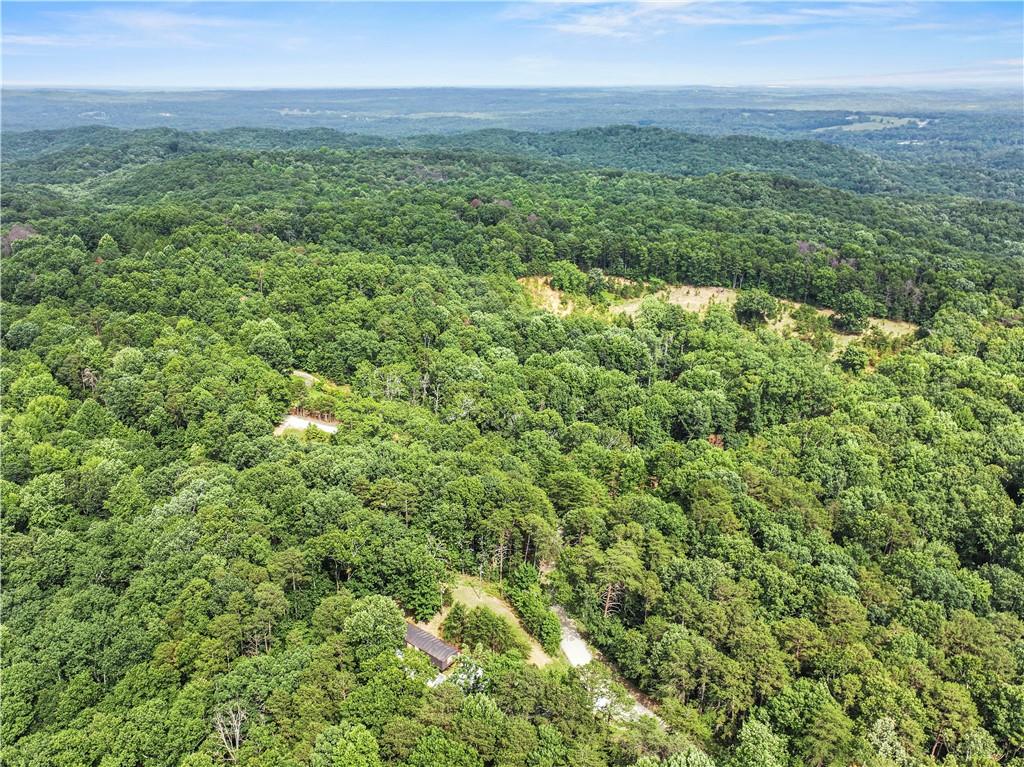 1458 Grant Mill Road Alto, GA 30510 - Photo 4 of 32 a view of a field of grass and trees