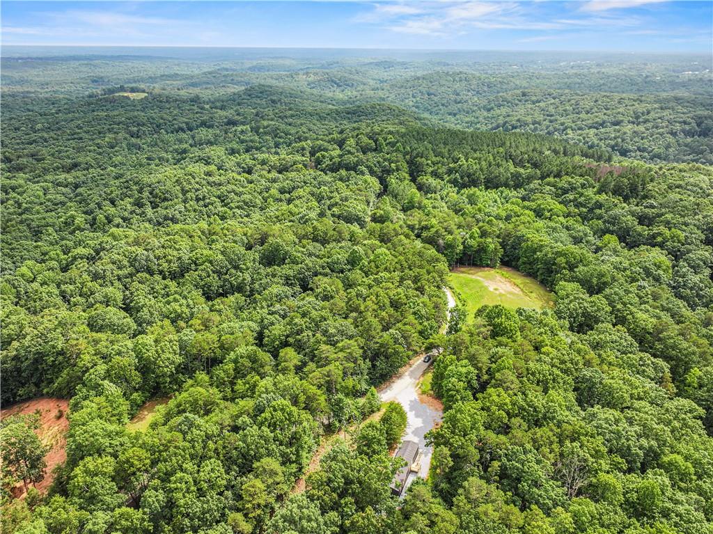 1458 Grant Mill Road Alto, GA 30510 - Photo 5 of 32 a view of a green field with lots of bushes