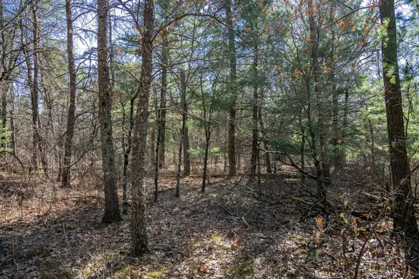 $35,000 | Lot 3 Morros Mile, Necedah, WI 54646