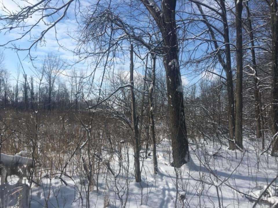 V/l Moore Road Tekonsha, MI 49082 - Photo 12 of 12