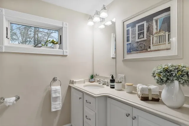 a bathroom with a sink a mirror and a potted plant