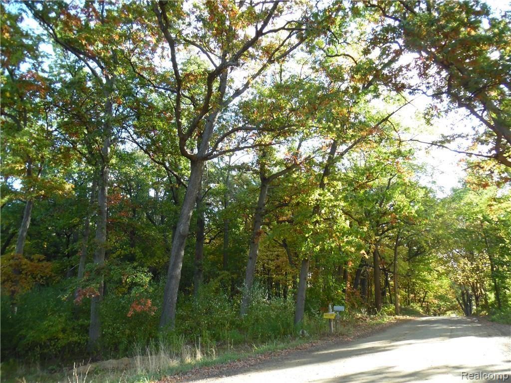 Par B Ludwig Road Oxford, MI 48371 - Photo 1 of 3 Gallery Image 1