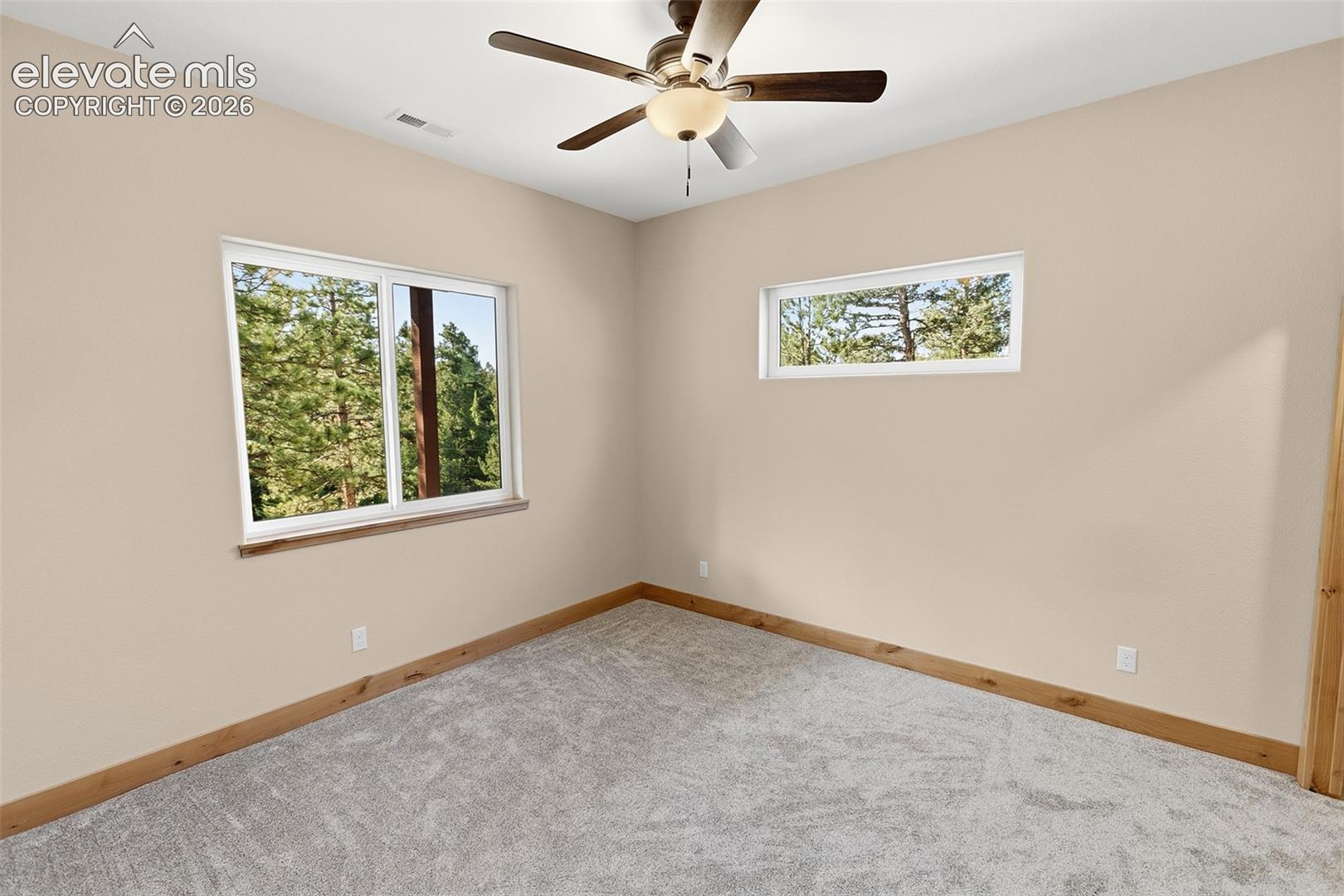 748 Pinewood Road Florissant, CO 80816 - Photo 35 of 37 Lower Level Bedroom 3