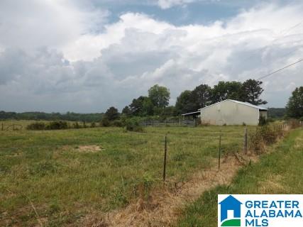 0 Highway 24 Oneonta Al Oneonta, AL 35121 - Photo 24 of 27