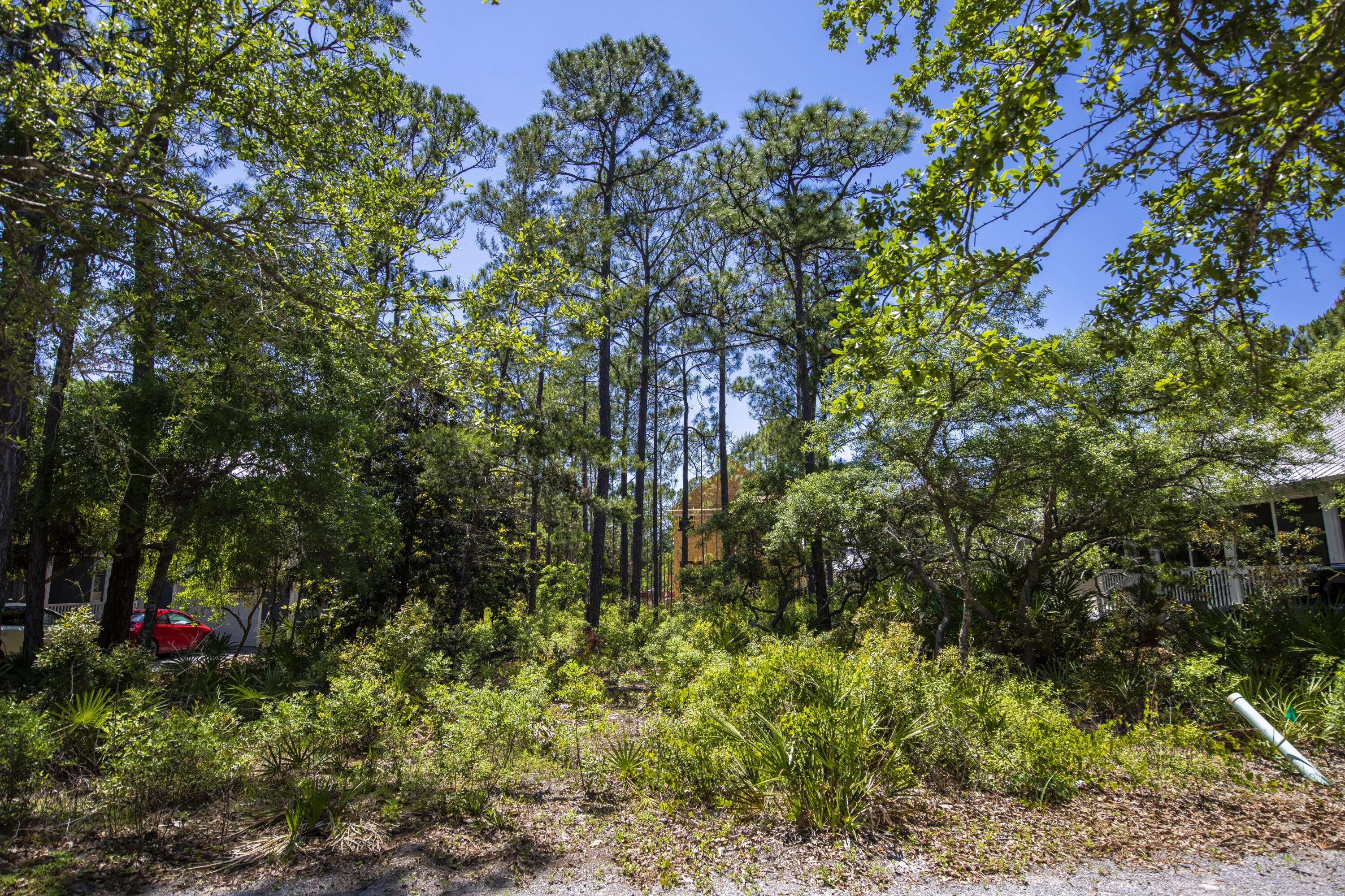 18 North Andalusia Avenue Santa Rosa Beach, FL 32459 - Photo 12 of 22 a backyard of a house with lots of green space