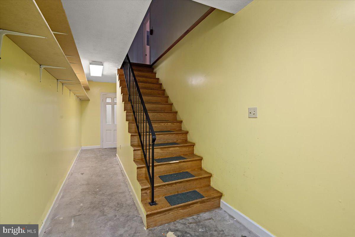 547 Apple Pie Ridge Road Winchester, VA 22603 - Photo 46 of 60 2nd stairs to basement/ wine closet at end of hall