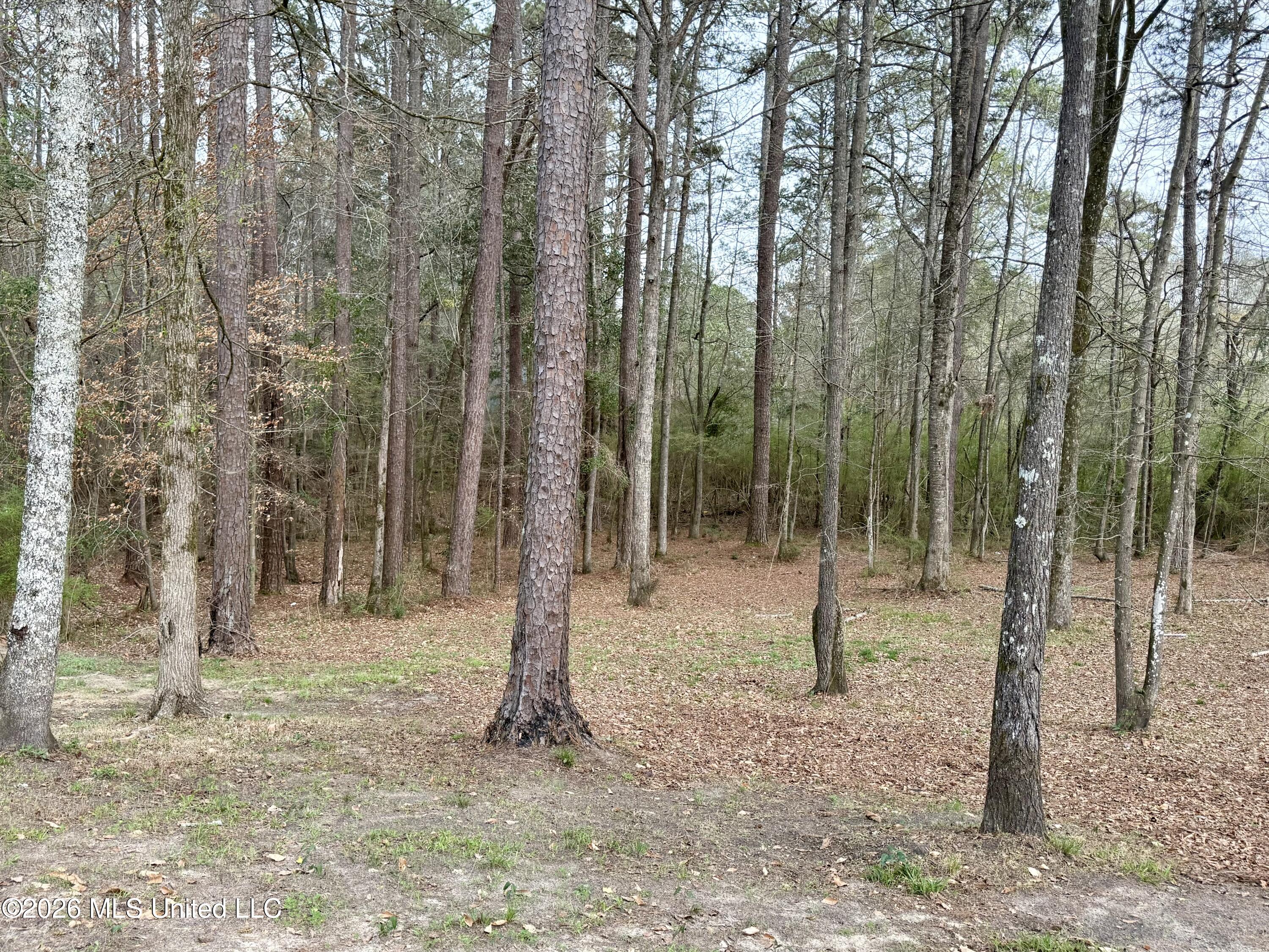 15489 Highway 18 Raleigh, MS 39153 - Photo 4 of 17 Property