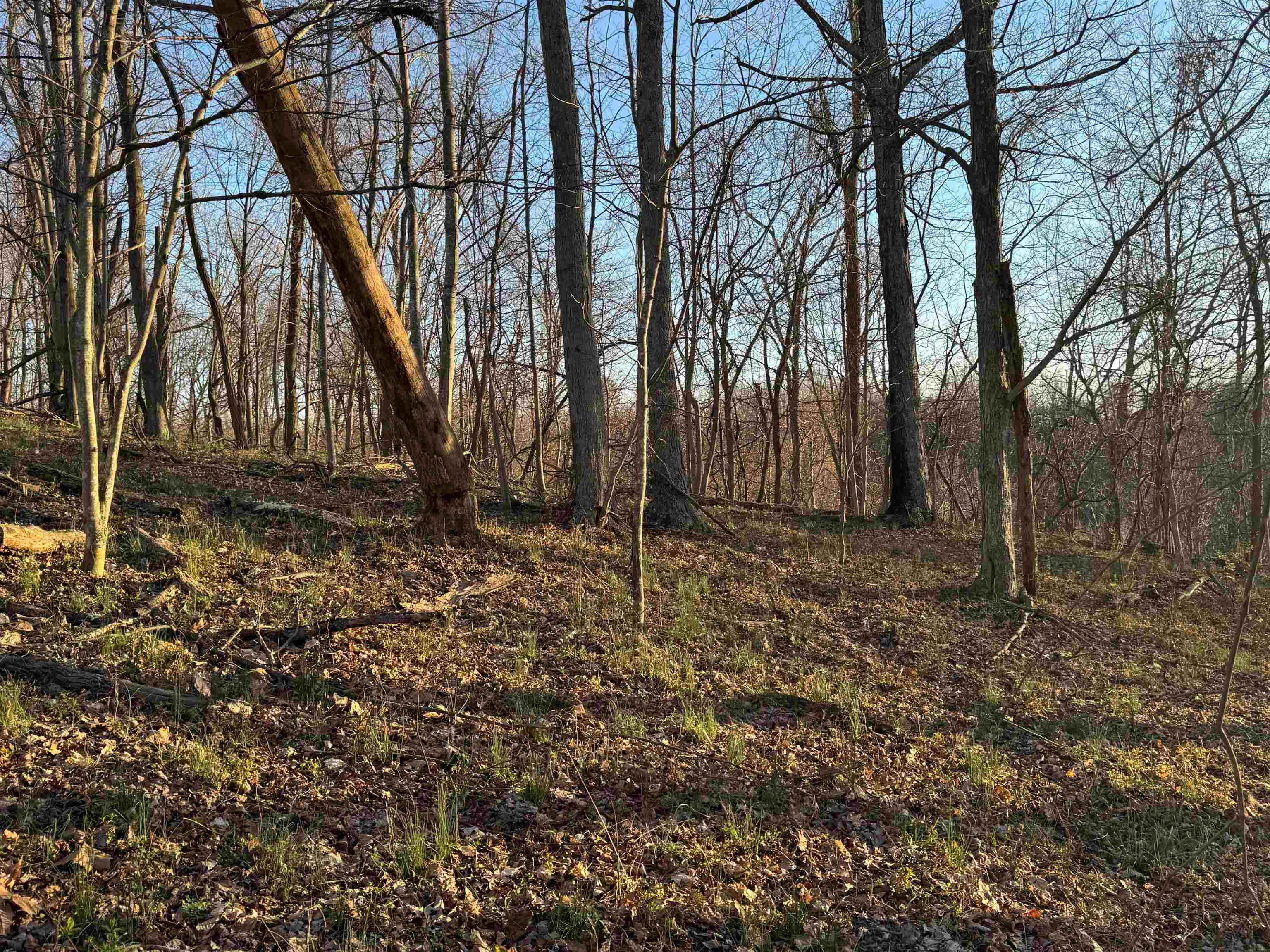 0 Co Road Proctorville, OH 45669 - Photo 27 of 27 Gallery Image 27