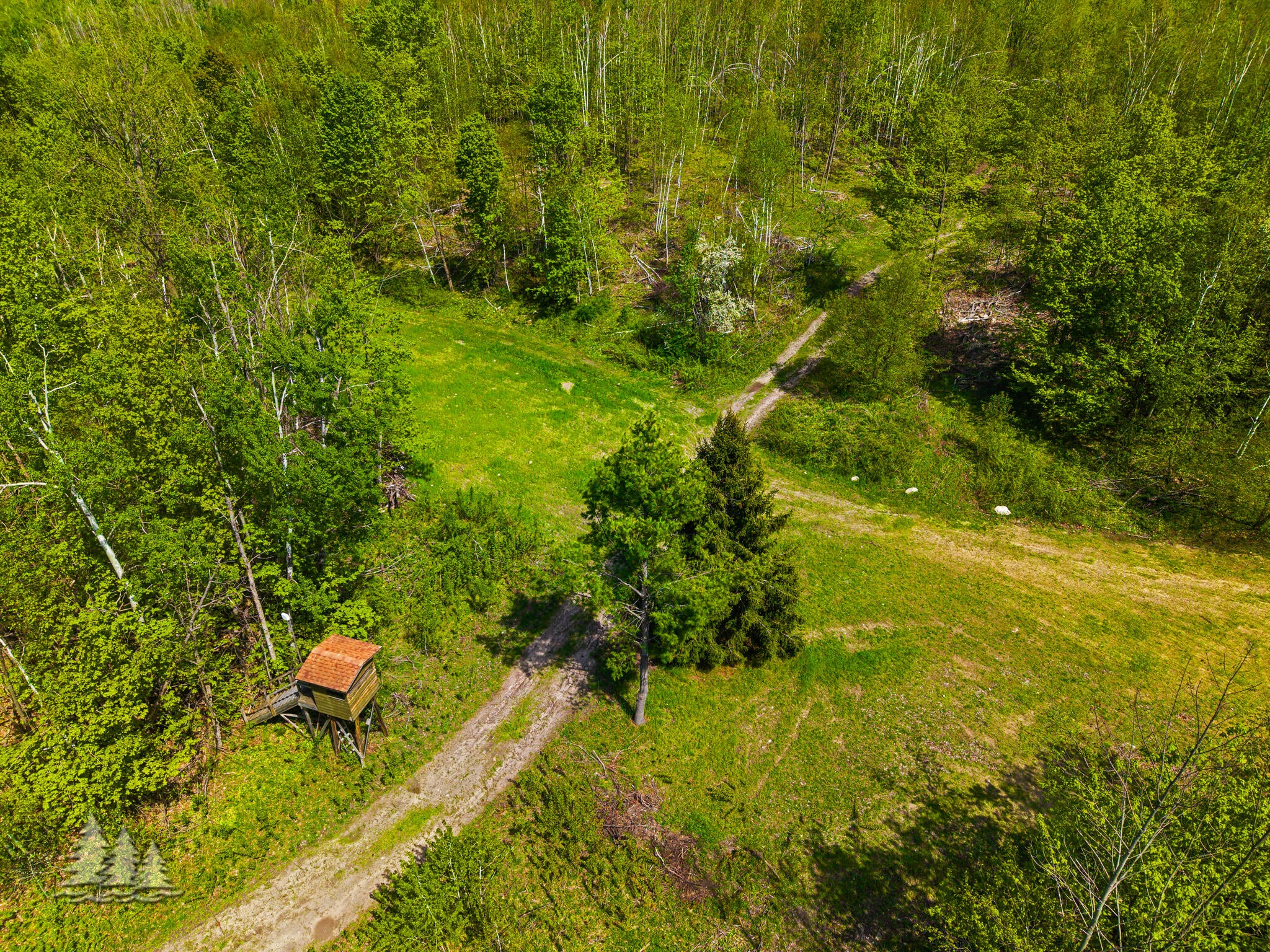14525 Eberly Road Comins, MI 48619 - Photo 56 of 77 14525 Eberly Road