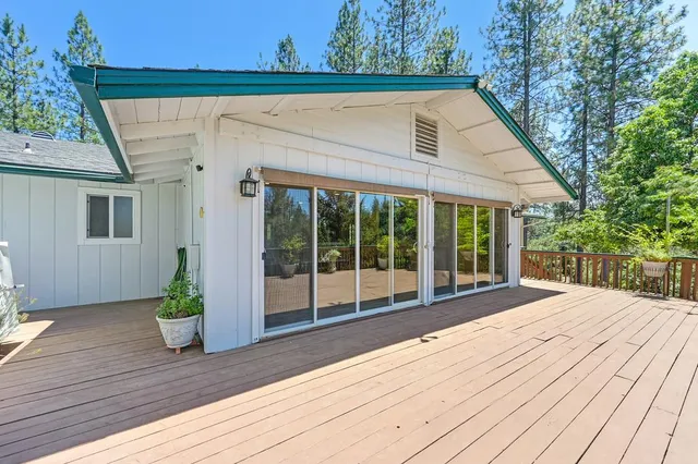 a view of a yard with plants and trees