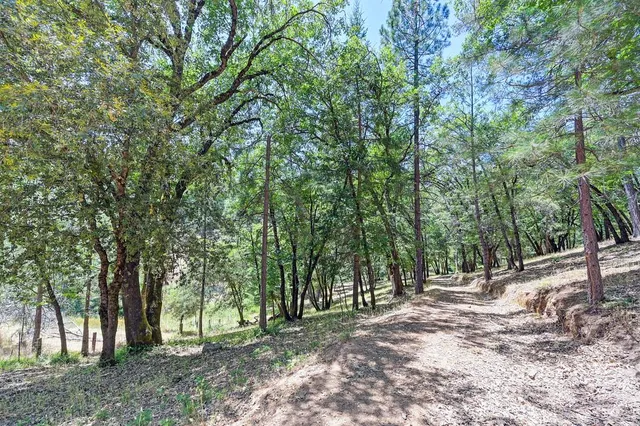 $685,000 | 26375 Barb Wire Lane, Colfax, CA 95713