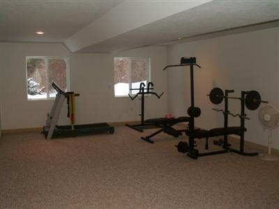 3774 Monroe Road Greenville, MI 48838 - Photo 12 of 16 Additional Photo