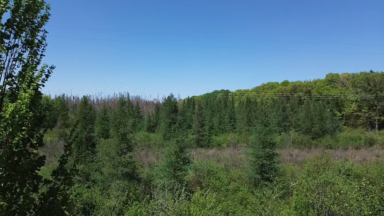 349 X 5th Avenue Shell Lake, WI 54871 - Photo 24 of 37