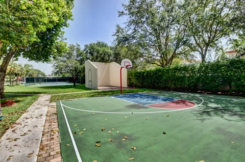 a view of a backyard