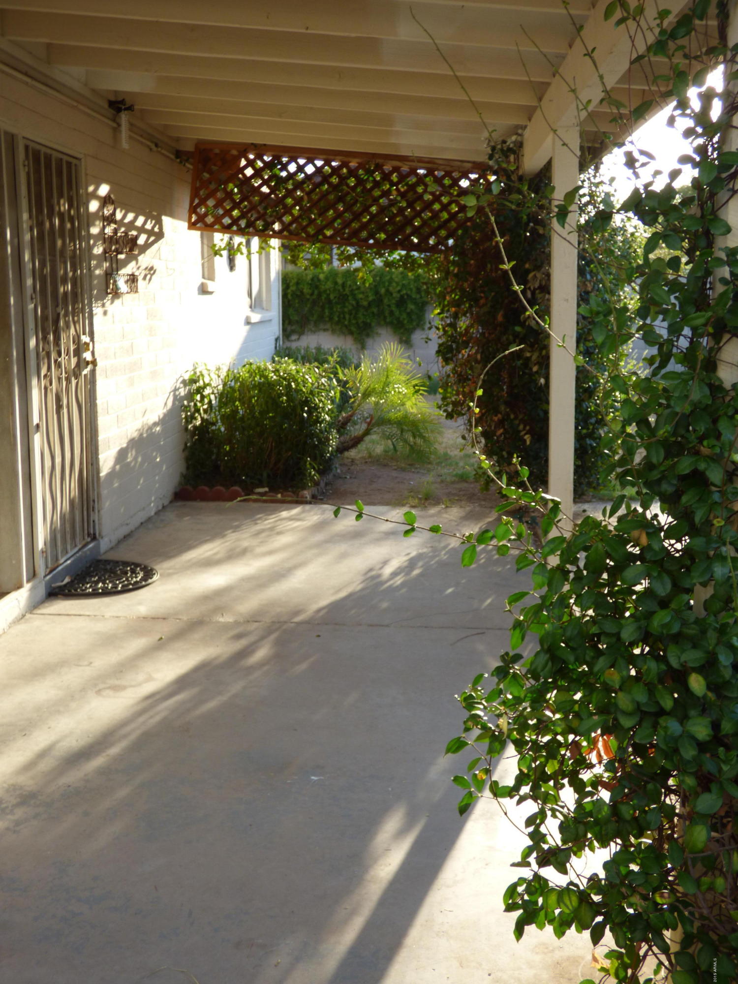 2808 East Cactus Road Phoenix, AZ 85032 - Photo 15 of 21 Backdeck2