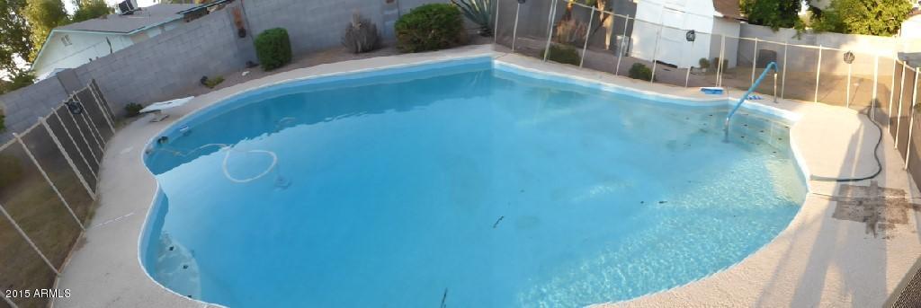 2808 East Cactus Road Phoenix, AZ 85032 - Photo 17 of 21 BiGPOOL