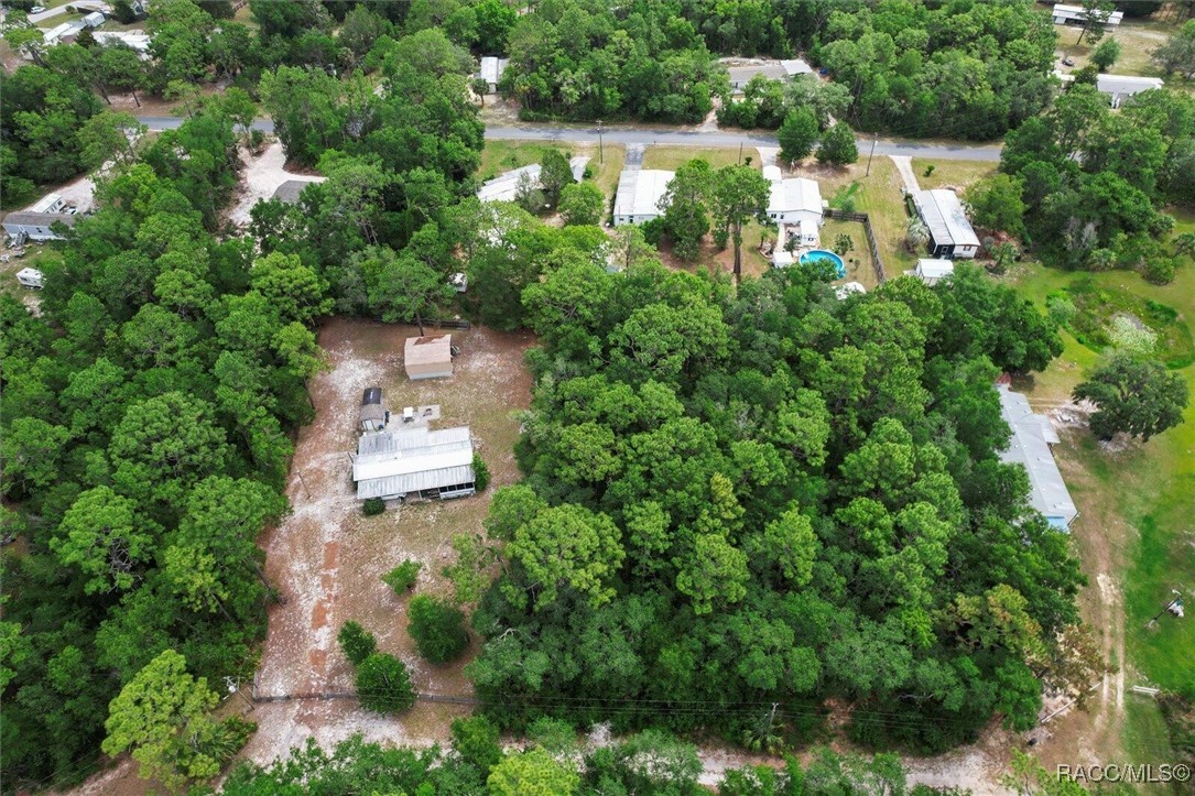 7261 West Stuart Lane Homosassa, FL 34448 - Photo 10 of 15