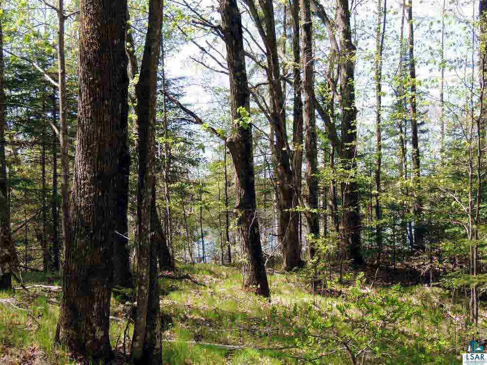 22985 South Trapper Lake Road Cable, WI 54821 - Photo 9 of 13 Gallery Image 9