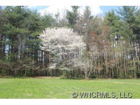 644 Rutledge Drive Hendersonville, NC 28739 - Photo 19 of 24