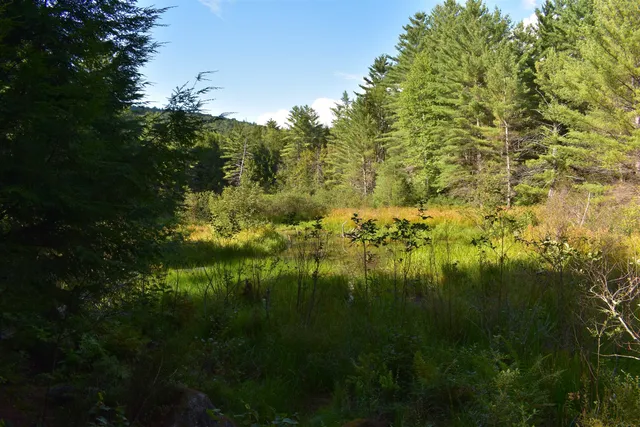 $119,800 | Bald Mountain Road, Rumney, NH 03266