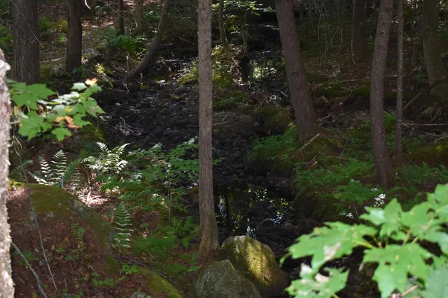 $119,800 | Bald Mountain Road, Rumney, NH 03266