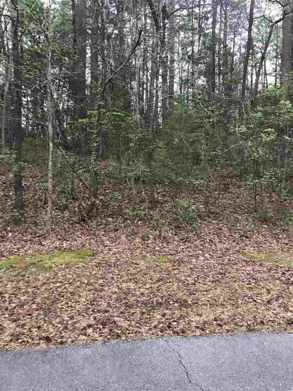 Lot 32-34 Saluda Road Williamston, SC 29697 - Photo 1 of 3 Gallery Image 1
