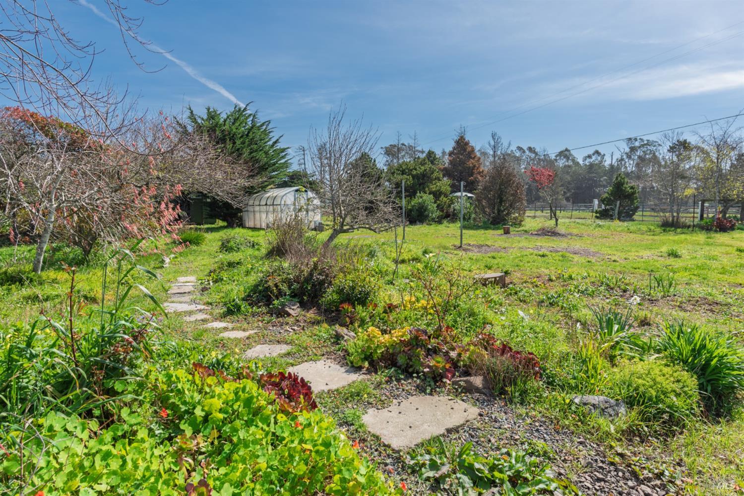 44120 Biaggi Road Manchester, CA 95459 - Photo 23 of 42 a view of a garden with plants and a building in the background