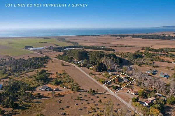 a view of a garden with a fountain