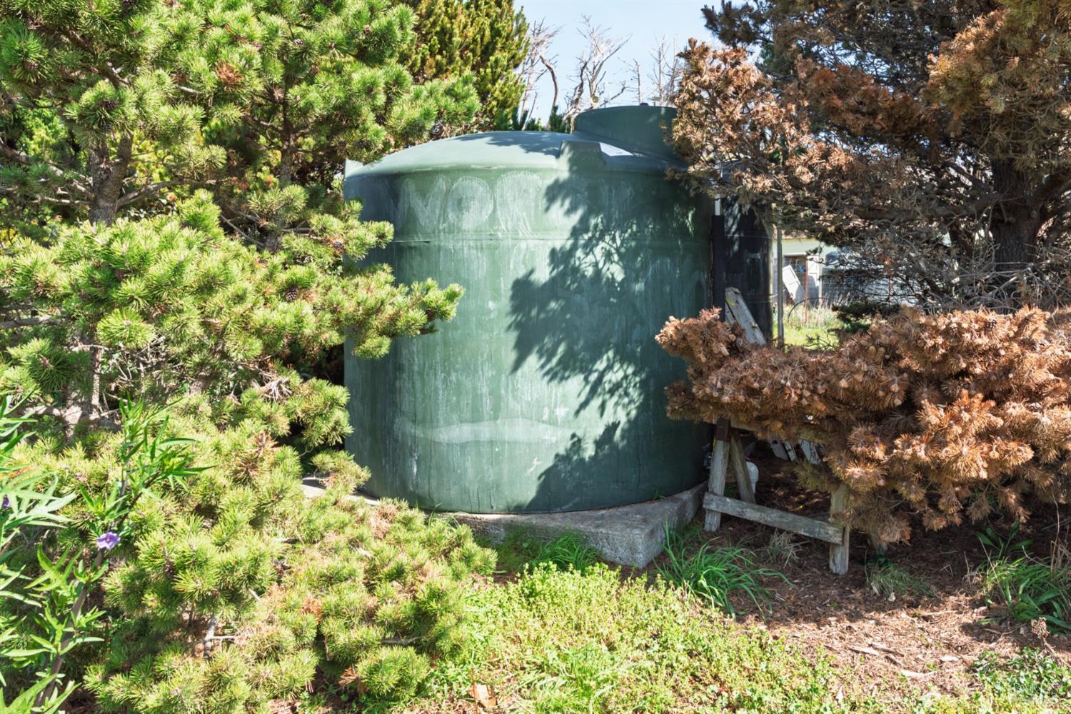 44120 Biaggi Road Manchester, CA 95459 - Photo 41 of 42 a view of a garden with a fountain