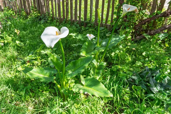 $639,000 | 44120 Biaggi Road, Manchester, CA 95459