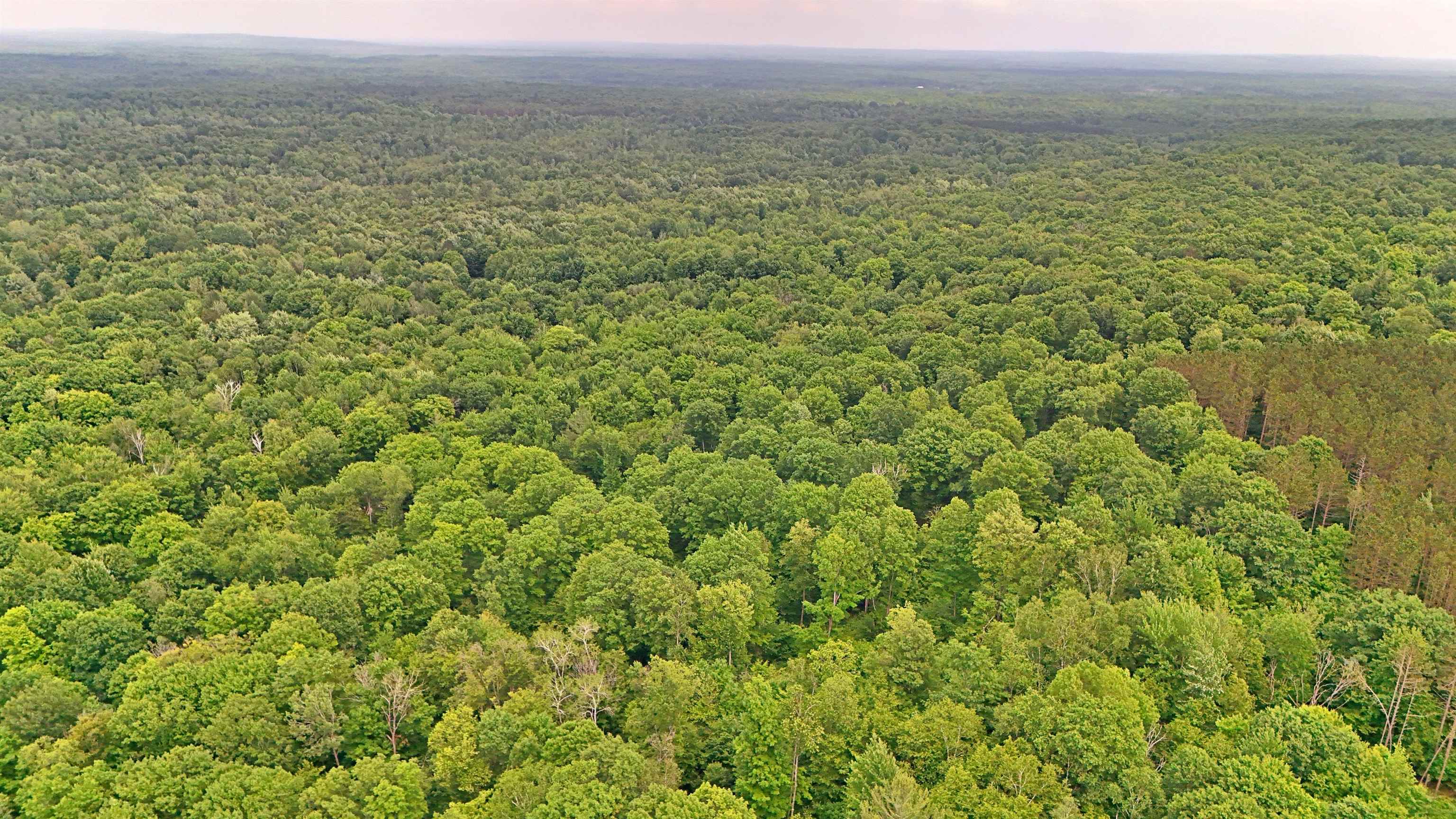 Vl 00 Cherry Hill Road Fife Lake, MI 49633 - Photo 19 of 26