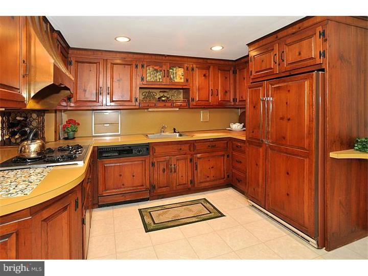 1438 Stocton Road Jenkintown, PA 19046 - Photo 8 of 19 Kitchen