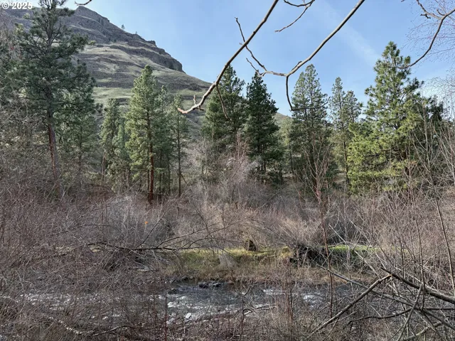 $395,000 | 0 Big Sheep Creek Road, Imnaha, OR 97842