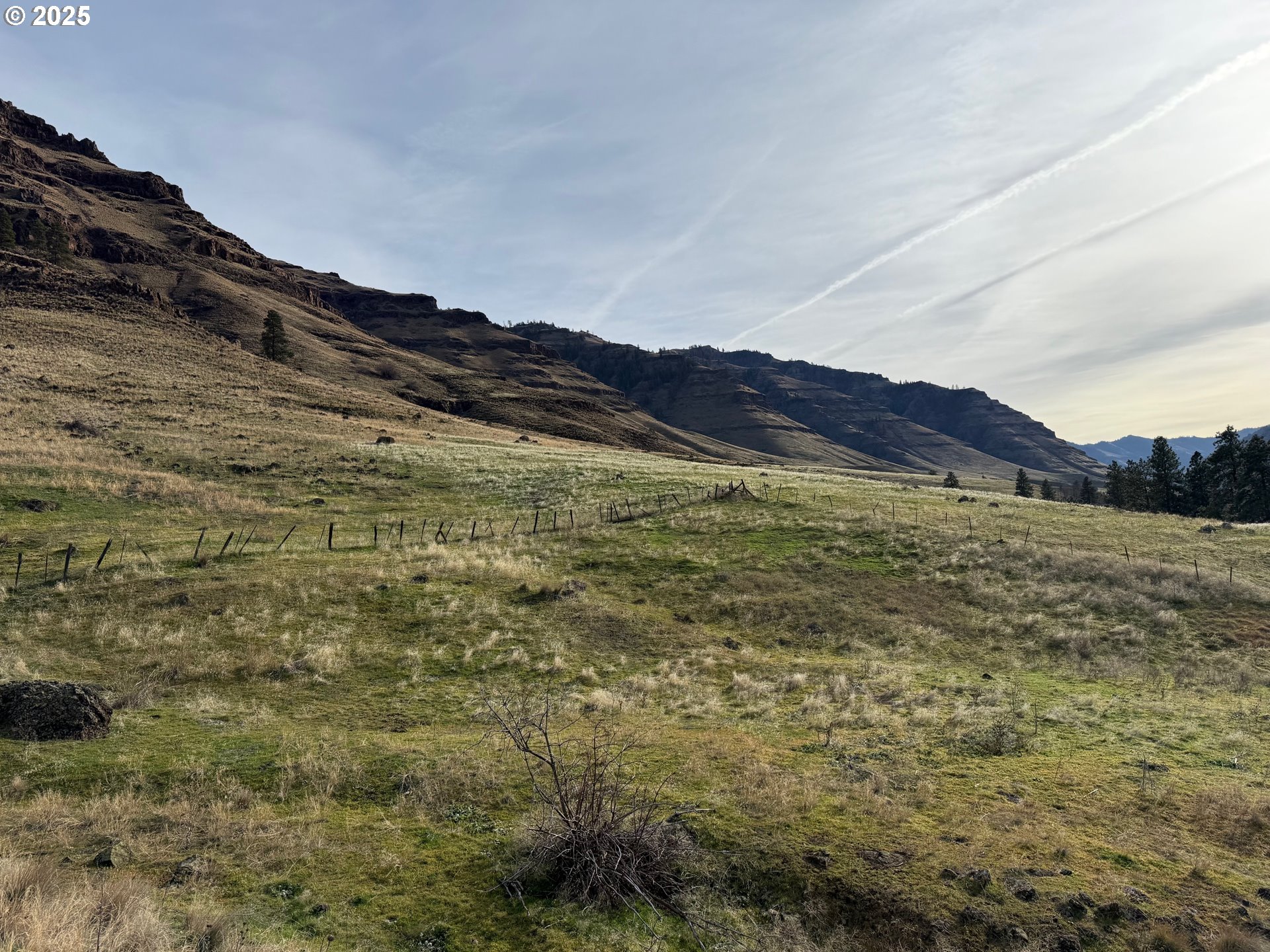 0 Big Sheep Creek Road Imnaha, OR 97842 - Photo 6 of 10