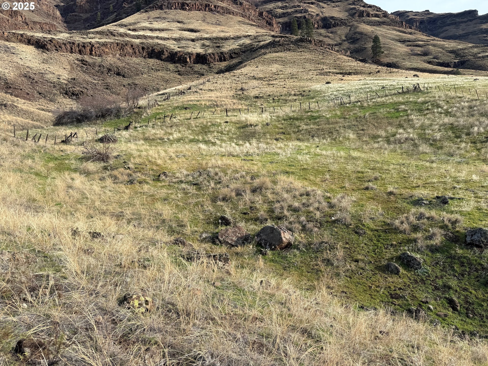 0 Big Sheep Creek Road Imnaha, OR 97842 - Photo 7 of 10