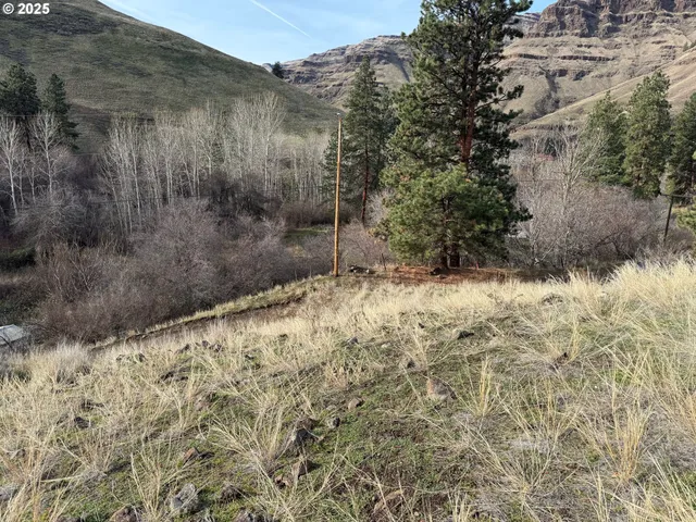 $395,000 | 0 Big Sheep Creek Road, Imnaha, OR 97842